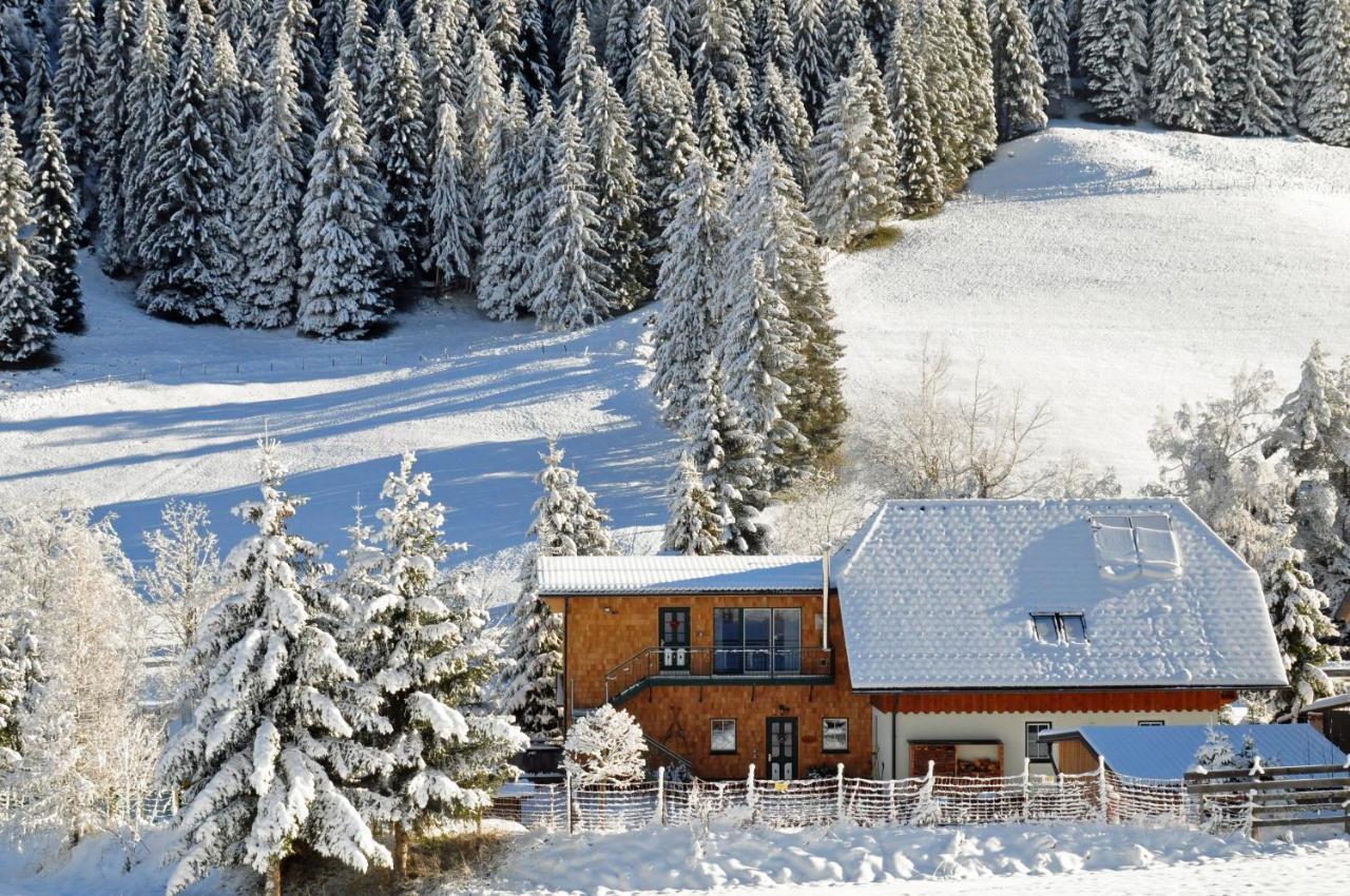 Landhaus Riesneralm Donnersbachwald Exterior photo